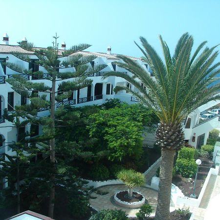 Coastside Apartment, Amarilla Bay Costa Del Silencio Zewnętrze zdjęcie