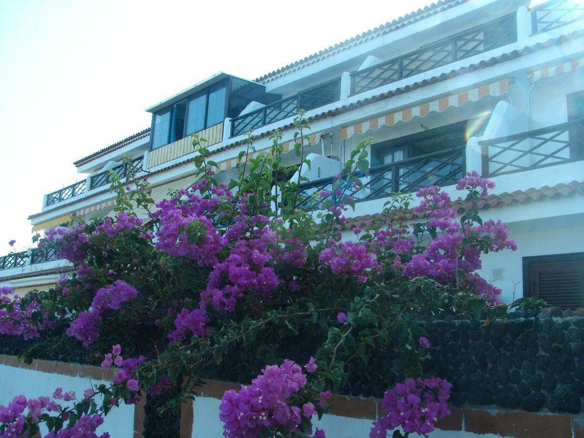 Coastside Apartment, Amarilla Bay Costa Del Silencio Zewnętrze zdjęcie